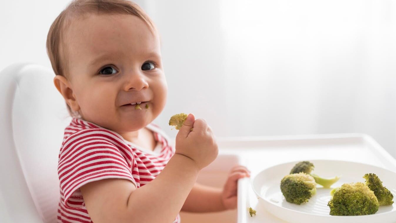 introducao-alimentos-solidos-bebes